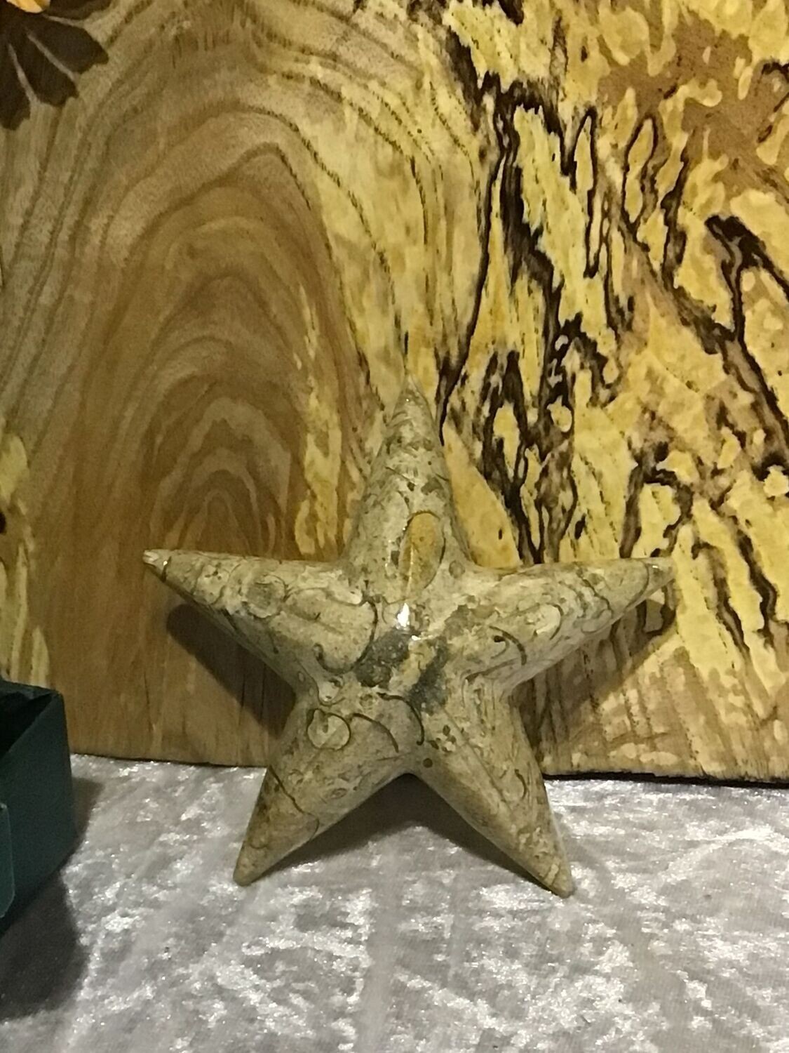 Fossil Stone 4 Inch Starfish Paperweight