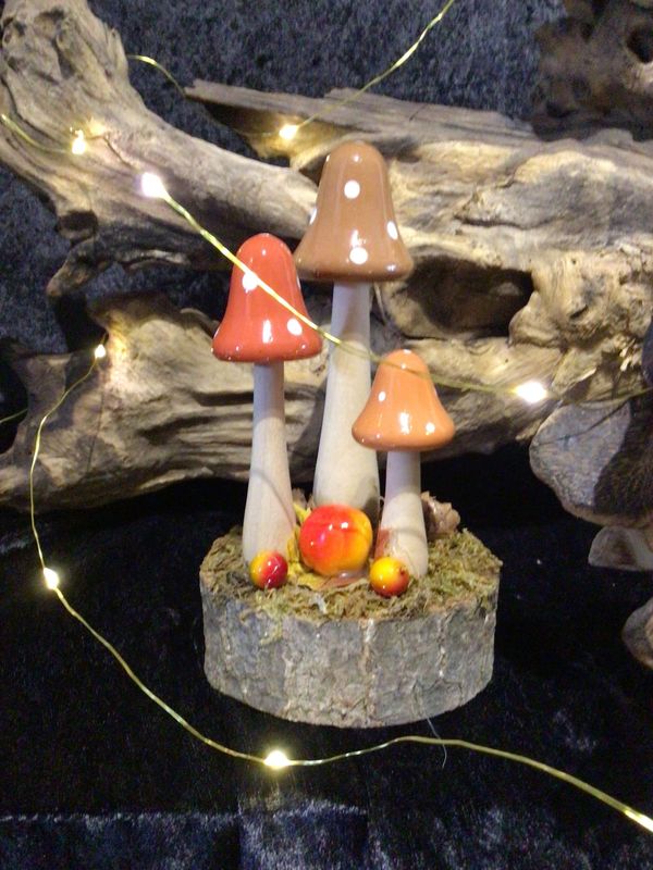 Autumnal Ceramic Mushrooms