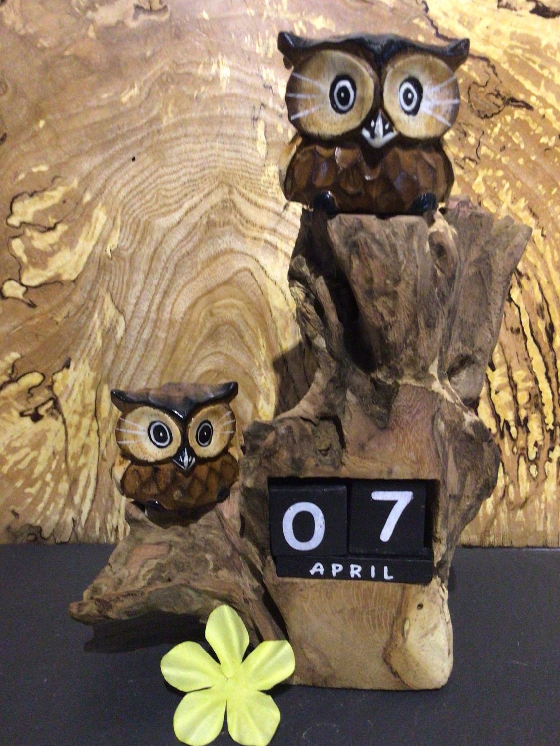 Double Owl Calendar on Wooden Root