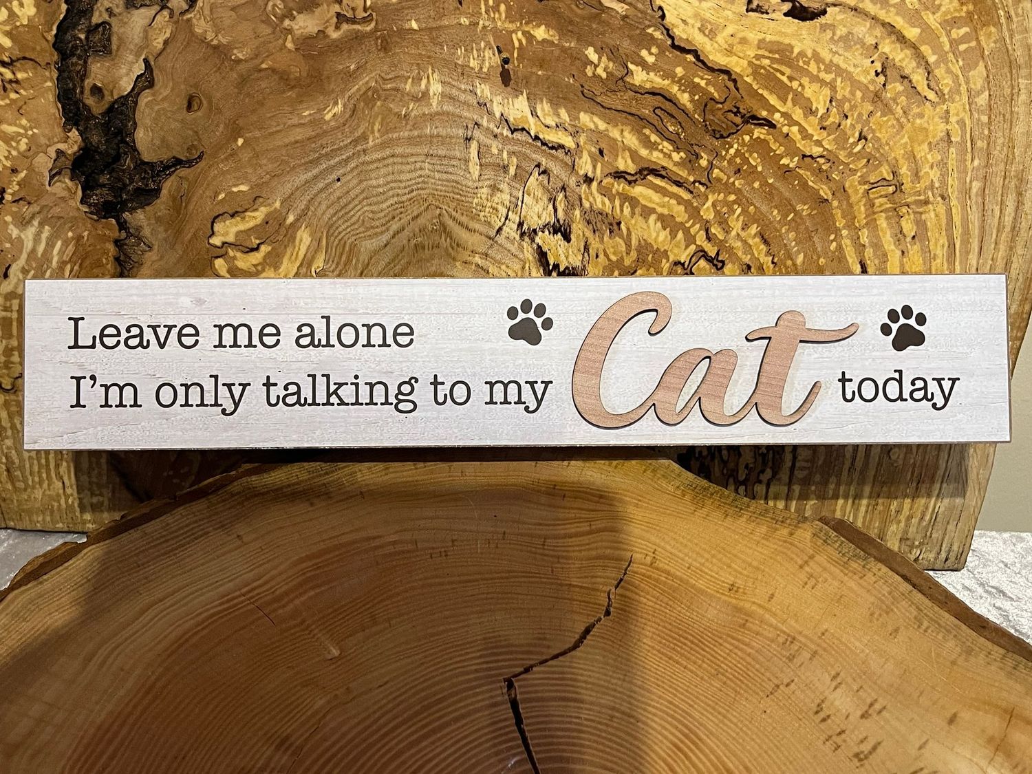 I’m only Talking to my Cat Today
