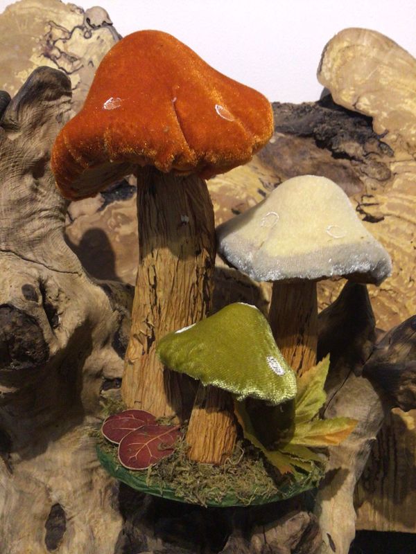 Velvet Mushrooms Group