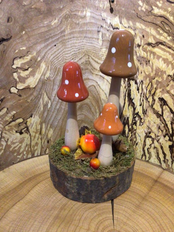 Ceramic Mushrooms