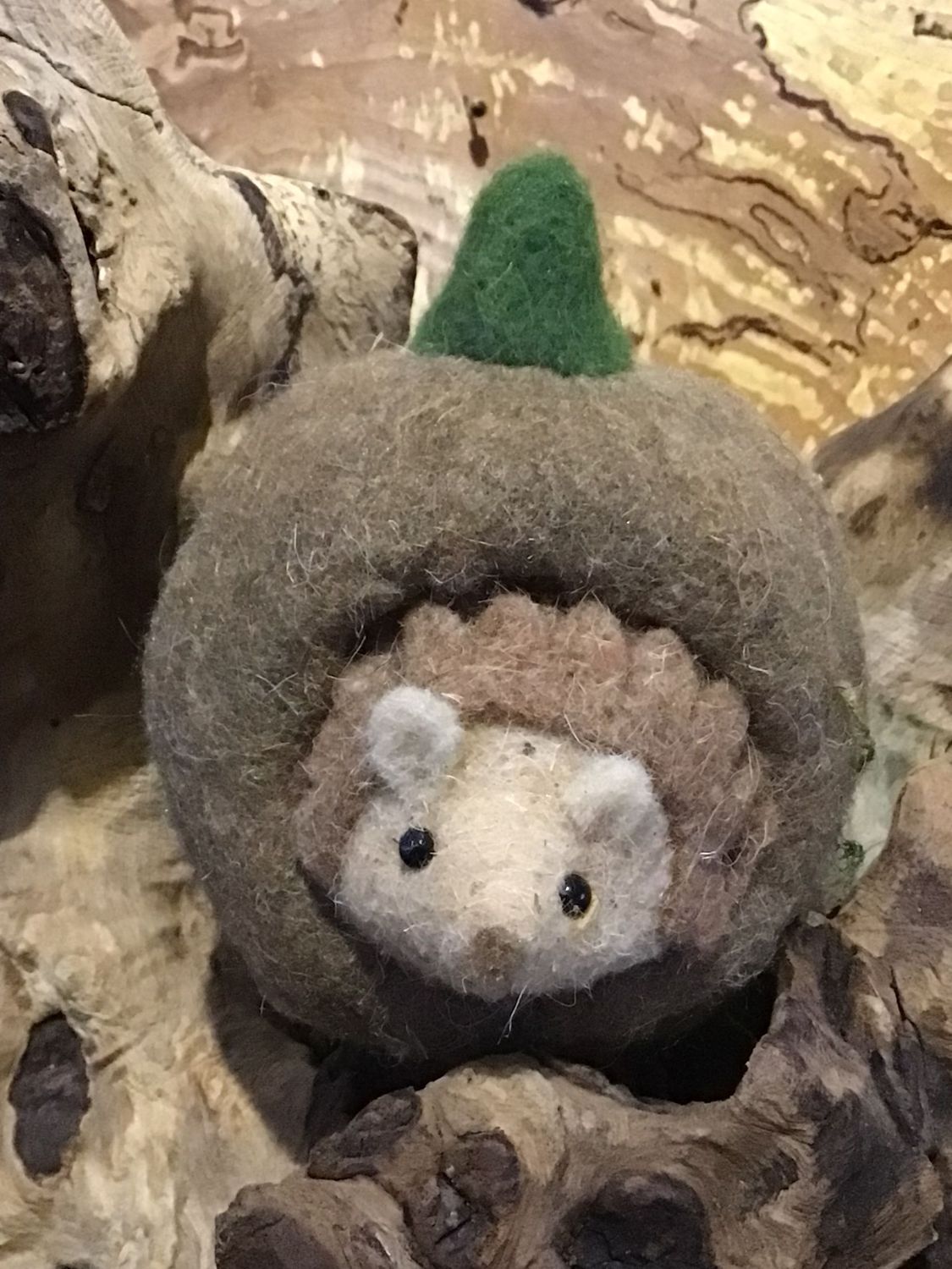 Felt Hedgehog in Pumpkin