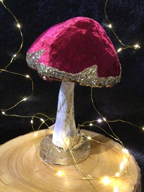 Red Velvet Topped Mushroom