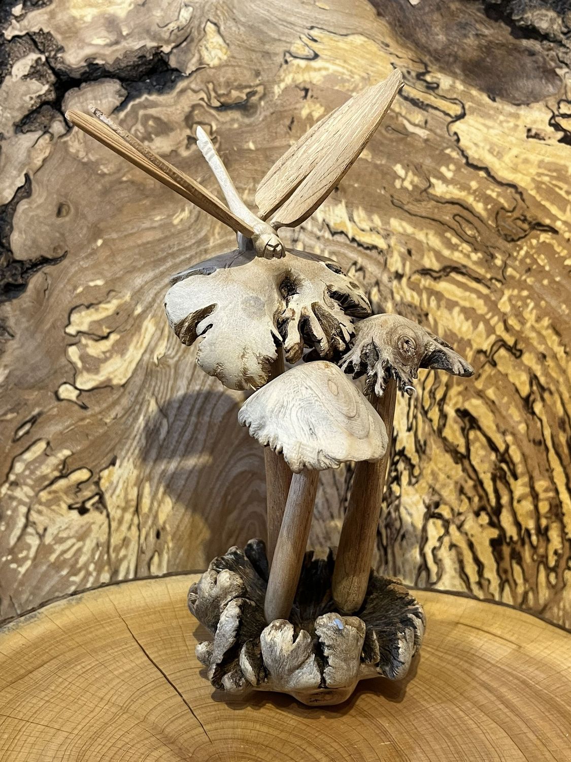 Mushrooms and Dragonfly on Parasitic Wood Mushrooms and Dragonfly on Parasitic Wood