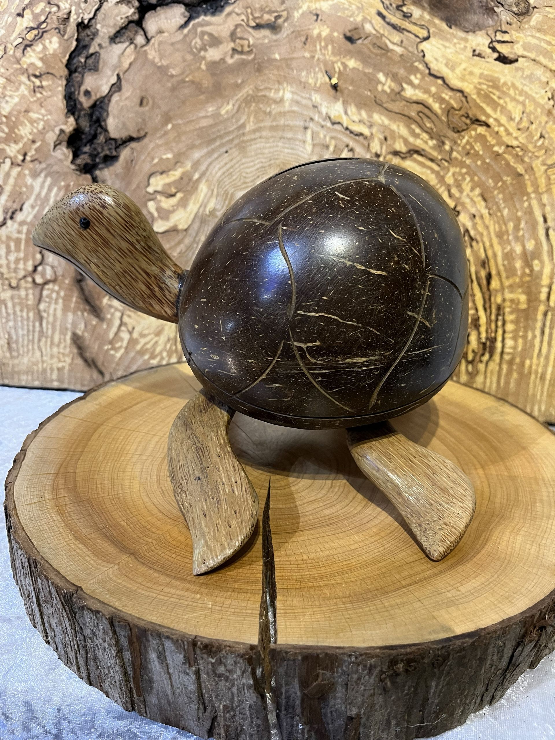 Coconut Shell Turtle Coin Holder
