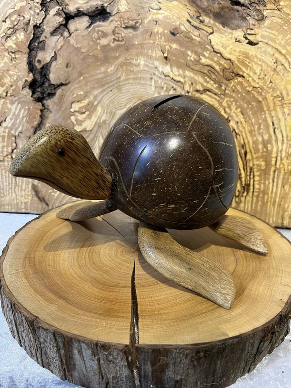 Coconut Shell Turtle Coin Holder