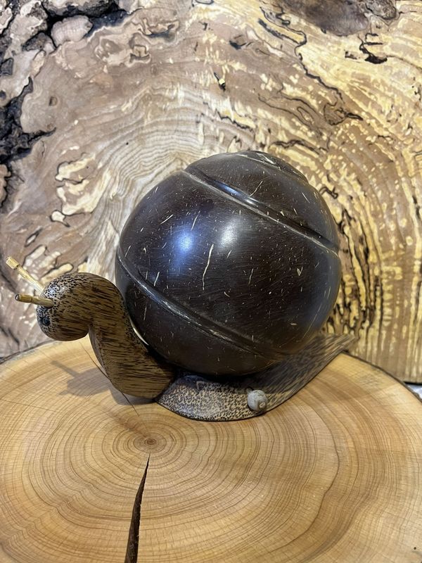 Coconut Shell Snail Coin Holder