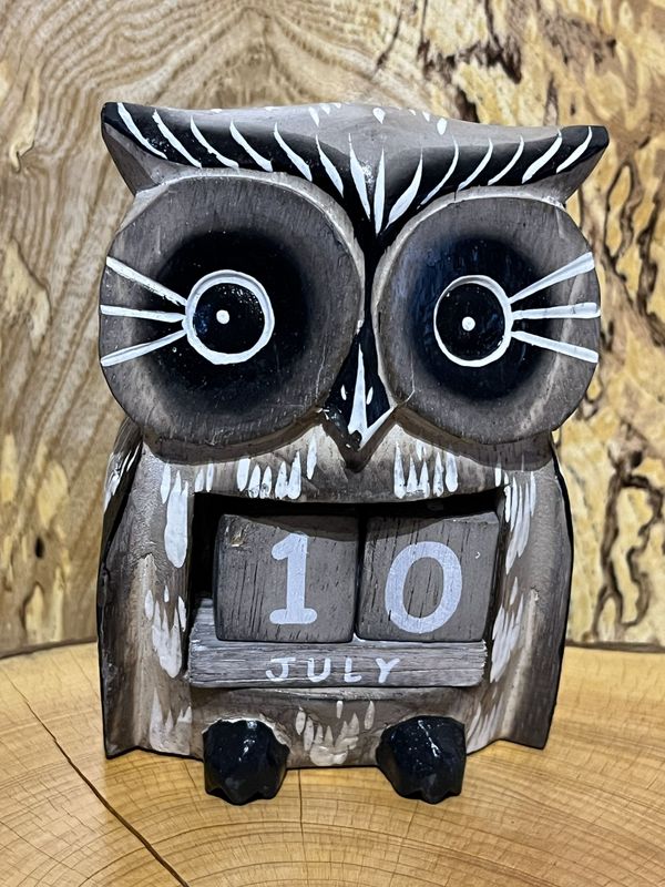 Grey Chunky Owl Calendar