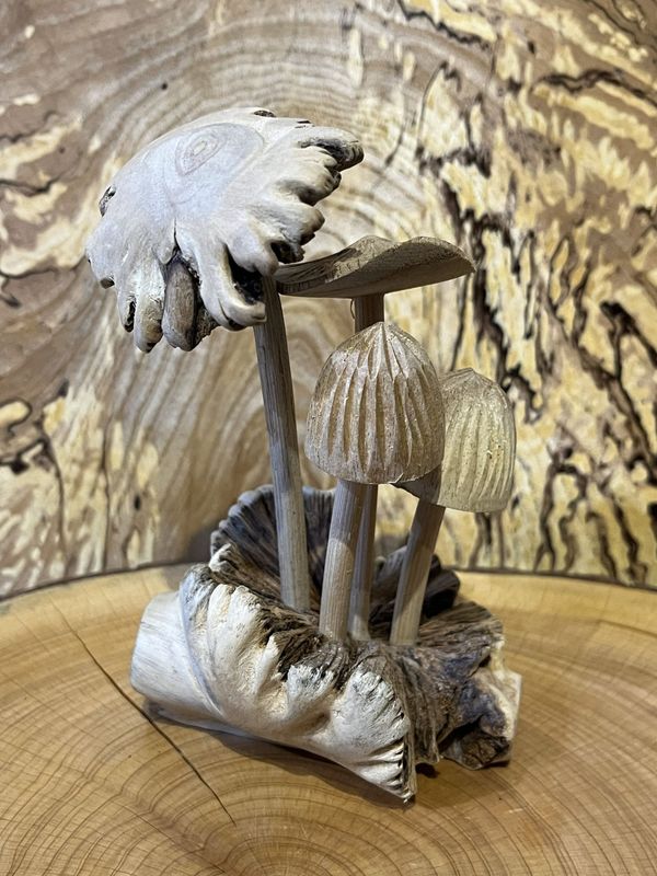 4 Mushrooms on Parasitic Wood