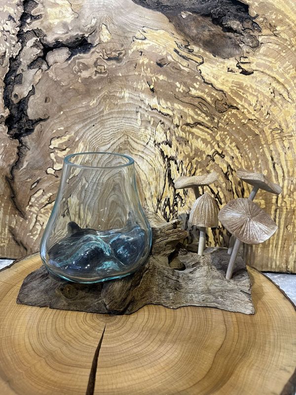 Teak Root Bowl and Mushrooms