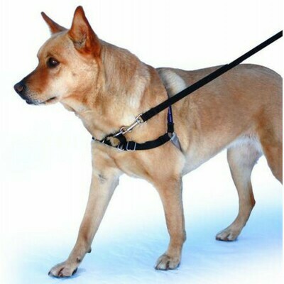 Easy Walk Harness sele til hunde - XL
