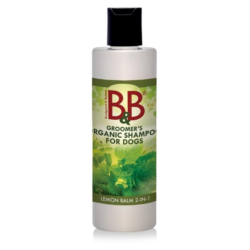 B&B 2i1 shampoo - 250ml