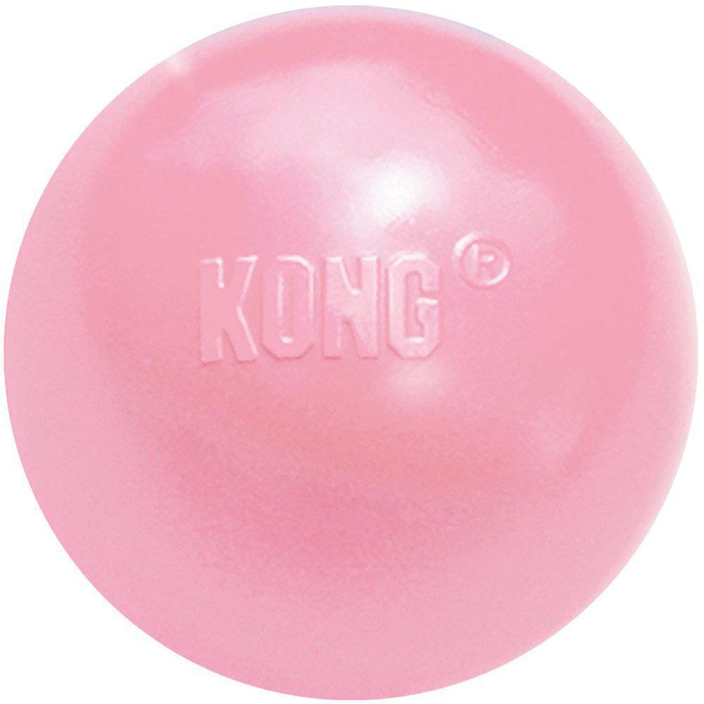 Kong puppy ball