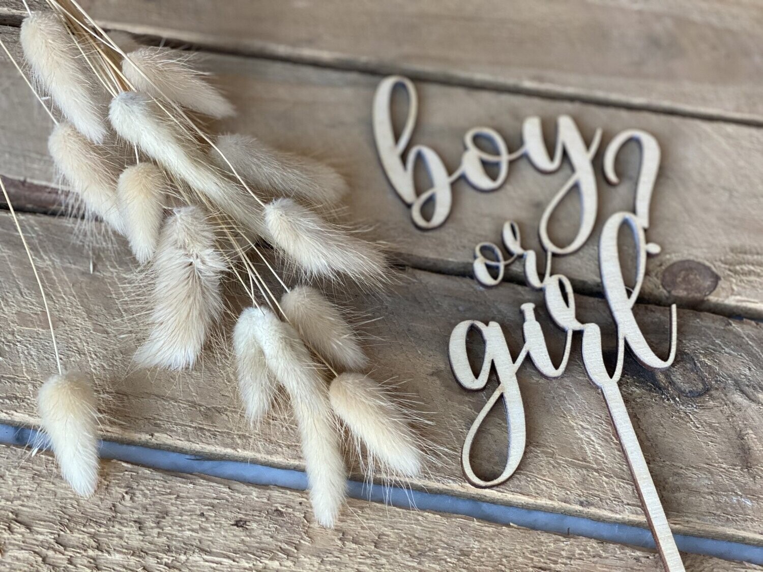 Caketopper - Boy or Girl
