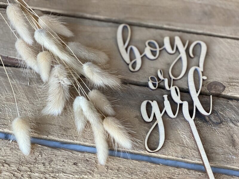 Caketopper - Boy or Girl