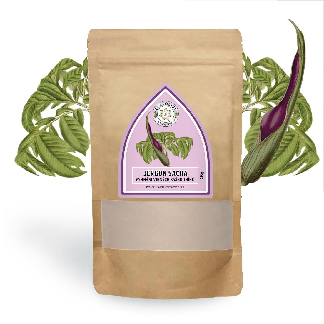 The Indians of the Amazon rainforest use Jergon Sacha tubers as an antidote for insect, spider or snake bites.