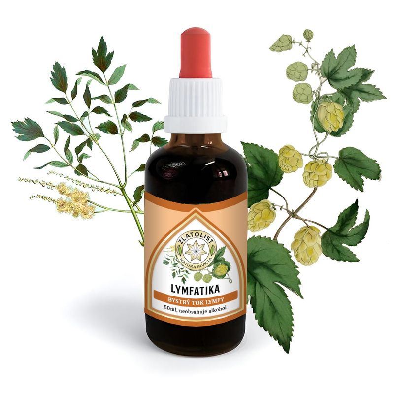 LYMPHATICA