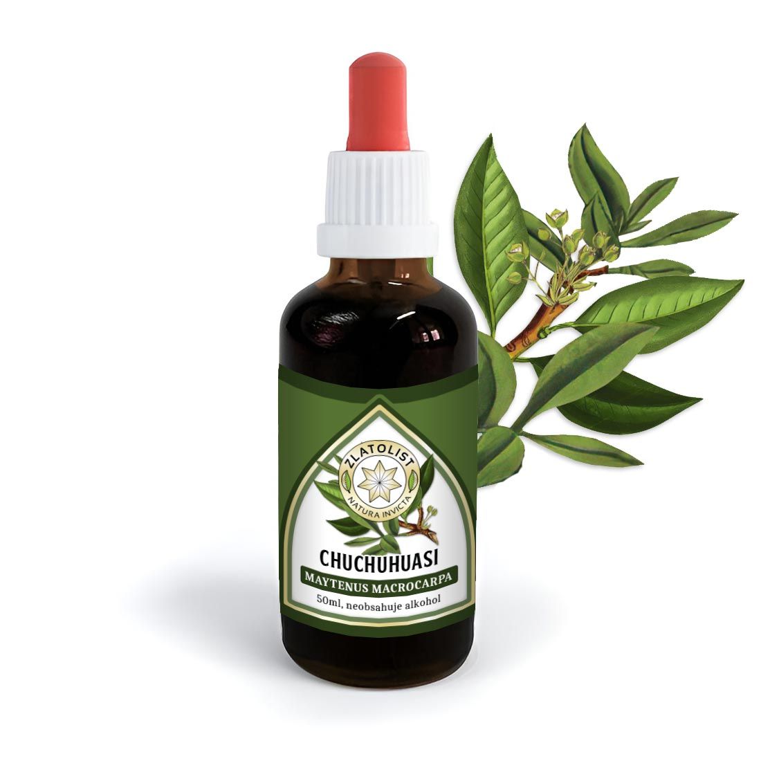 Chuchuhuasi betekent &quot;gecorrigeerde rug&quot;.