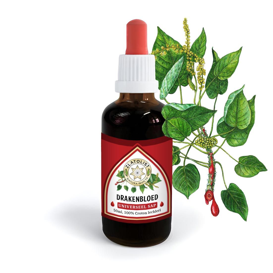 DRAGON'S BLOOD 50ML, It heals scars on the outside and smoothes wrinkles.
