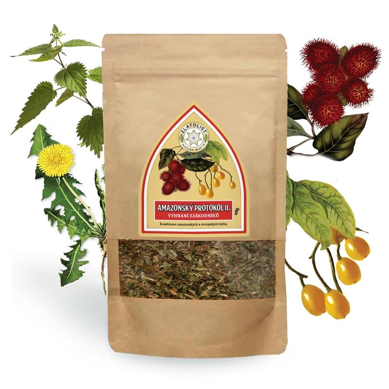 AMAZONIAN PROTOCOL II.