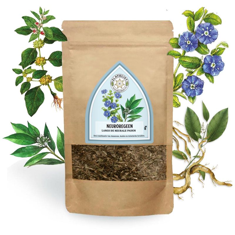 NEUROREGEEN Langs de neurale paden