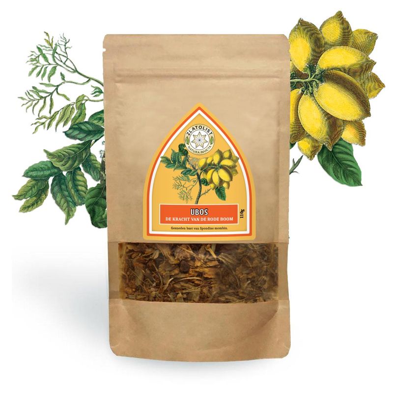 Ubos - Yellow Mombine, The miraculous power of the bark of the red tree