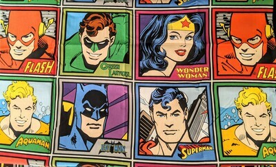 Warner Bros- DC Meet the Heroes