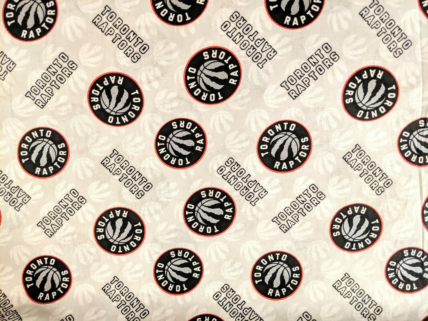 NBA Toronto Raptors