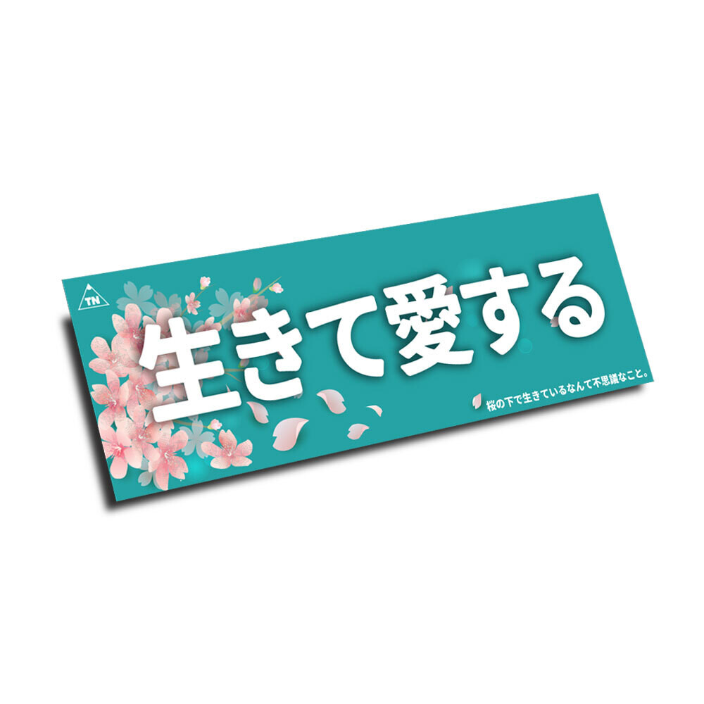 SAKURA &quot;LIVE &amp; LOVE&quot; SLAP
