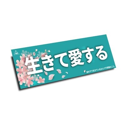 SAKURA &quot;LIVE &amp; LOVE&quot; SLAP