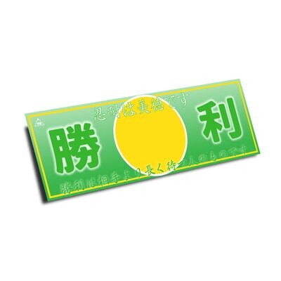 VICTORY TO THE PATIENT SLAP STICKER