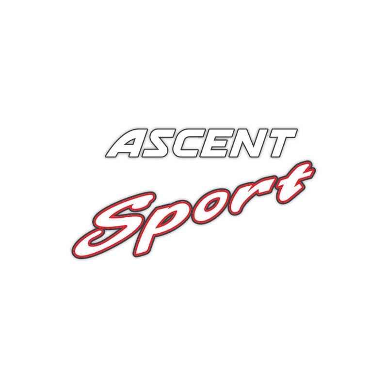 ASCENT SPORT HATCH DECAL : TOYOTA COROLLA