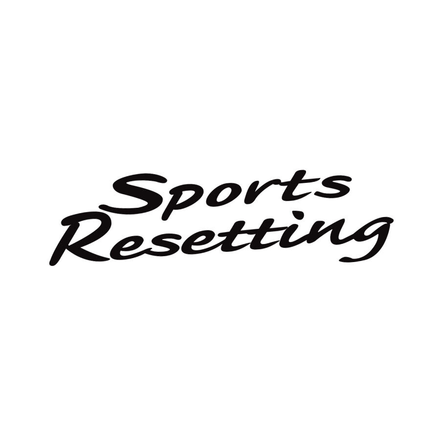 SPORTS RESETTING FENDER DECAL : NISSAN SKYINE R34