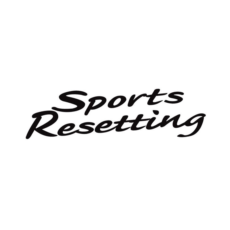 SPORTS RESETTING FENDER DECAL : NISSAN SKYINE R34