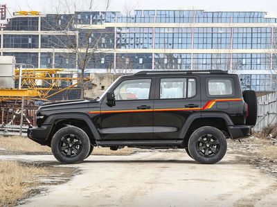 STRATHPINE BODY STRIPE KIT : GWM TANK 300