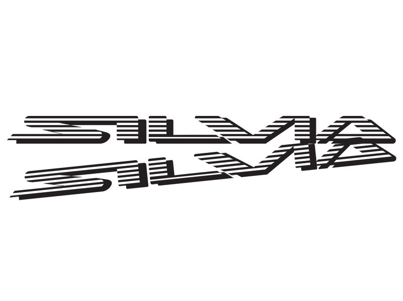 BODY ACCENT DECAL KIT : NISSAN SILVIA S13 / 180SX (TYPE-2)