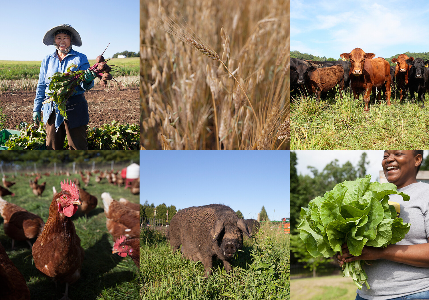 Donate to Minnesota Farmers Union Foundation Donate to Minnesota Farmers Union Foundation