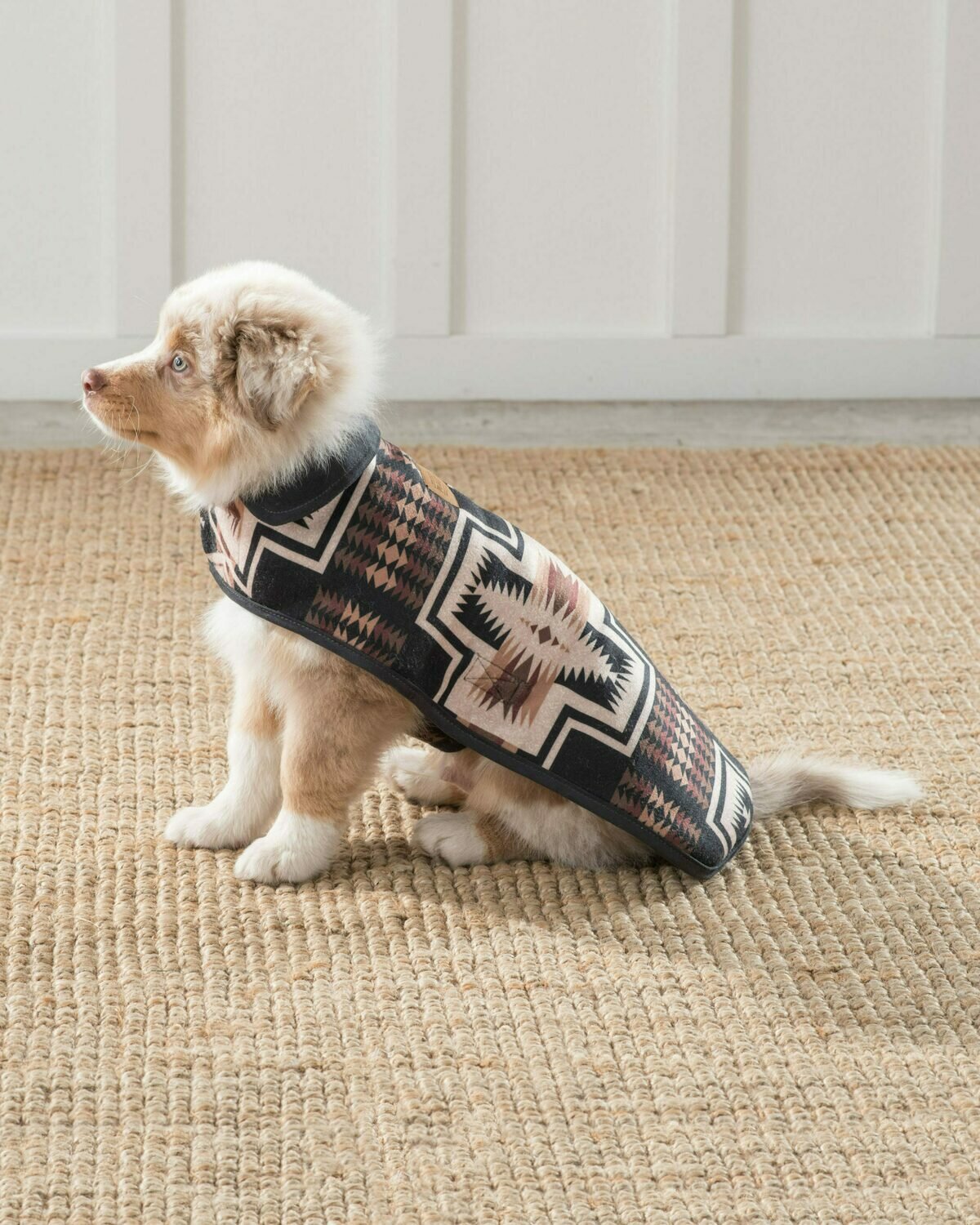 pendleton dog jacket