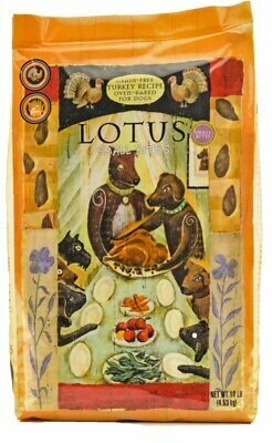 lucy and co bandanas