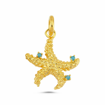 Follow the Sun starfish charm