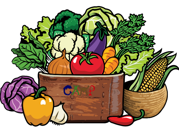 Village Community Veggie Bag