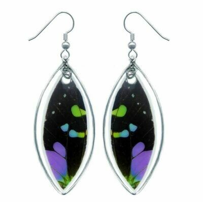 Graphium Weiskei Floating Earrings