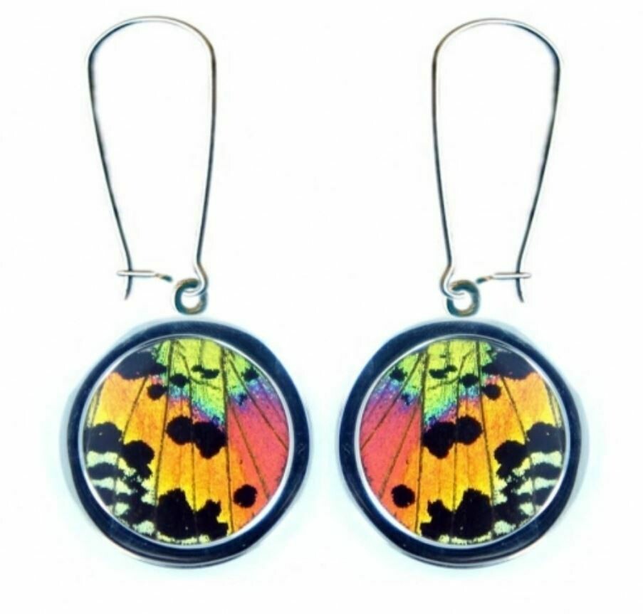 Circle Sunset Moth Earrings - Rainbow