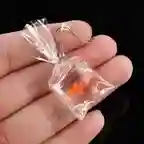 Goldfish Bag Earrings