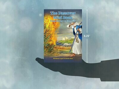 Passover Mini Book