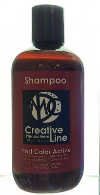 SHAMPOO POST COLOR ACTIVE