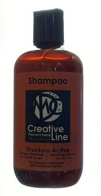 SHAMPOO STRUCTURE ACTIVE