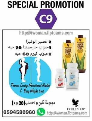 كلين9 الاقتصادية