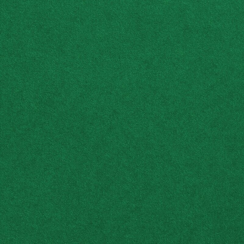 Cartulina Basic Verde Hoja